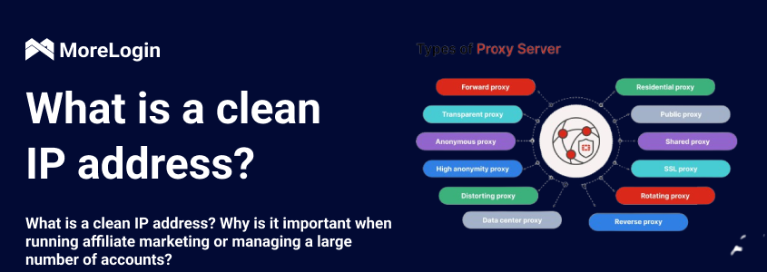 AdsPower vs Multilogin vs Dolphin Anty: Cái nào thắng trong năm 2026? - Dolphin Anty là gì?