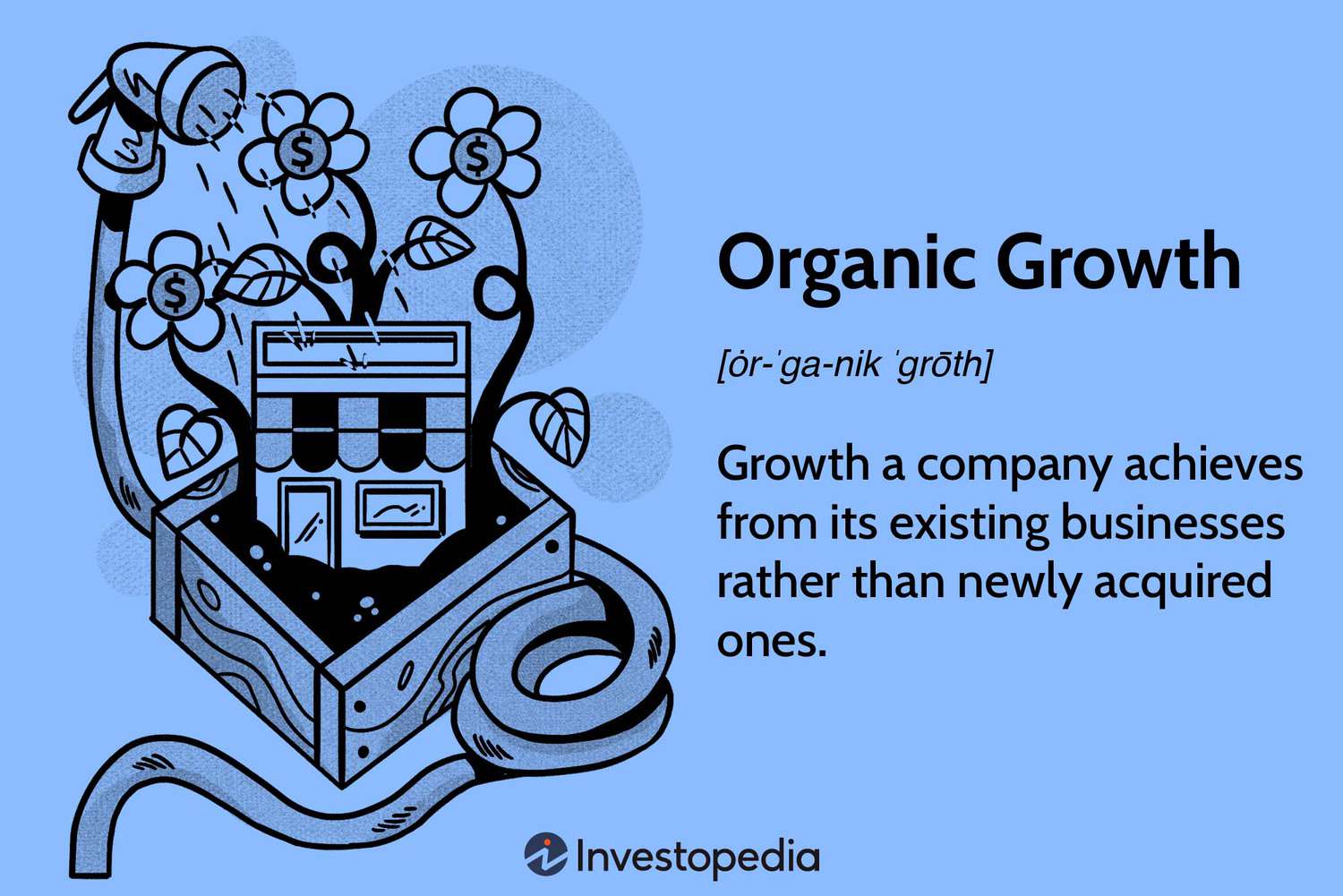Organic Growth: Strategies, Metrics, and a Modern Playbook - Organic Growth vs. Inorganic Growth
