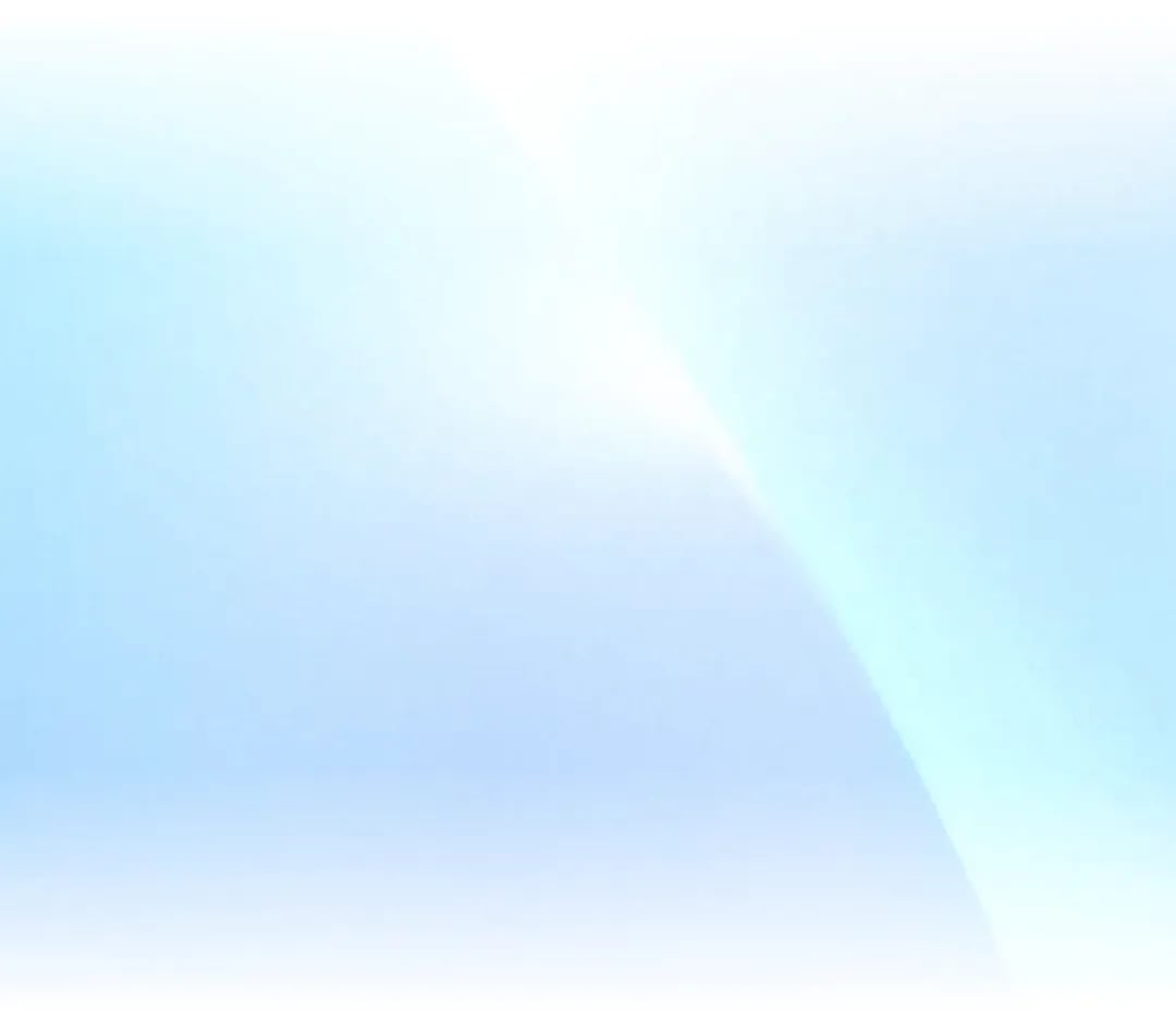 BVNK product interface