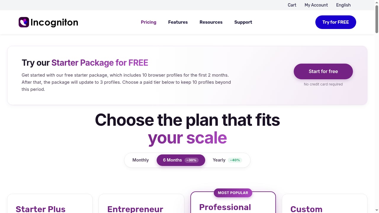 First viewport screenshot of Pricing packages-incogniton