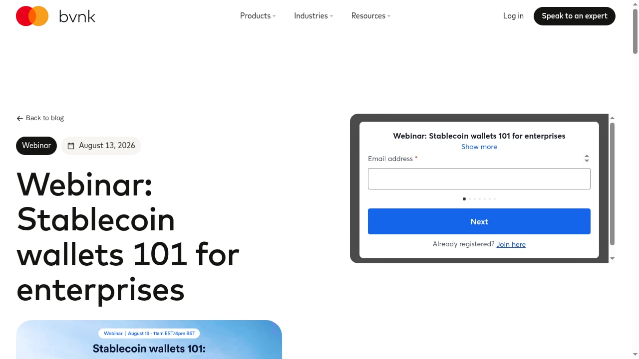 First viewport screenshot of www.bvnk.com