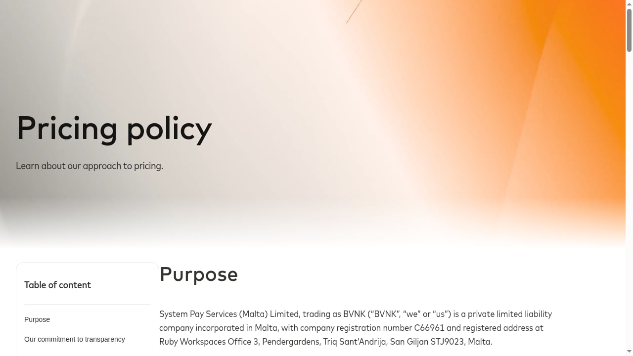 First viewport screenshot of www.bvnk.com