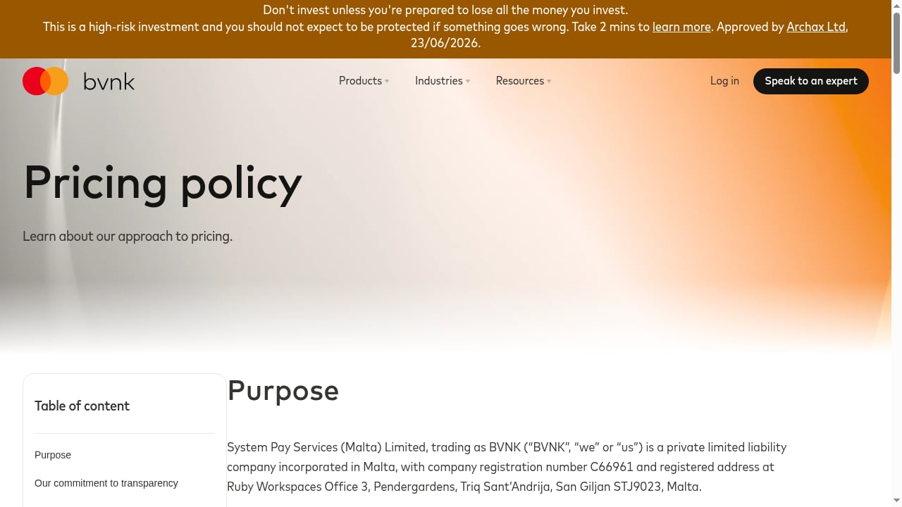 First viewport screenshot of www.bvnk.com