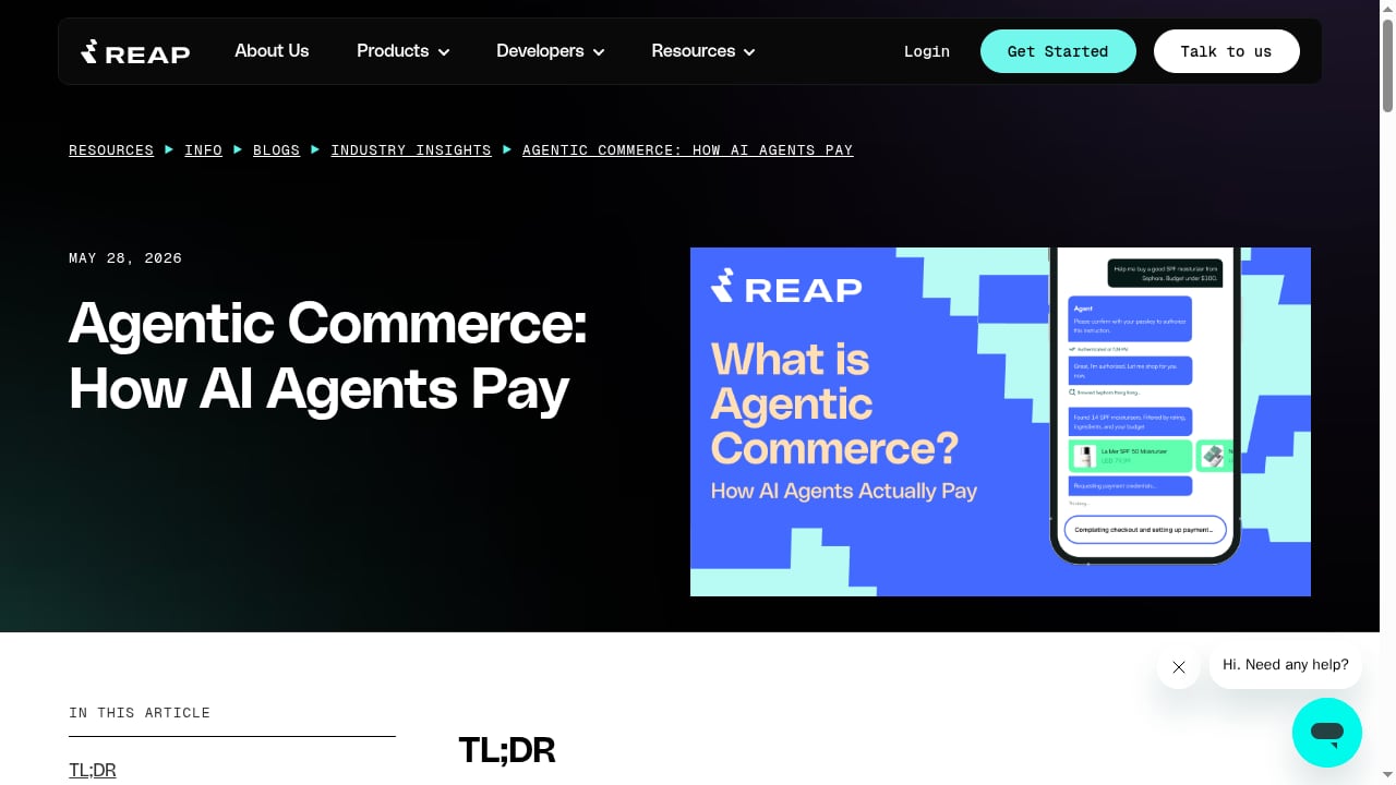 First viewport screenshot of Agentic Commerce: How AI Agents Pay