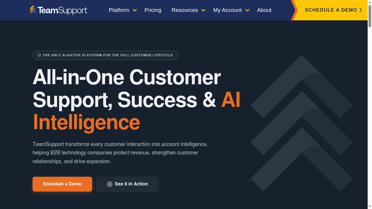First viewport screenshot of Turn Customer Conversations Into Competitive Advantage | TeamSupport